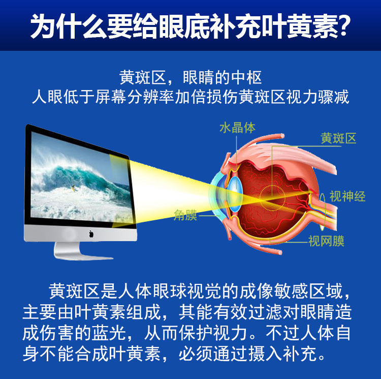 叶黄素8_07.jpg